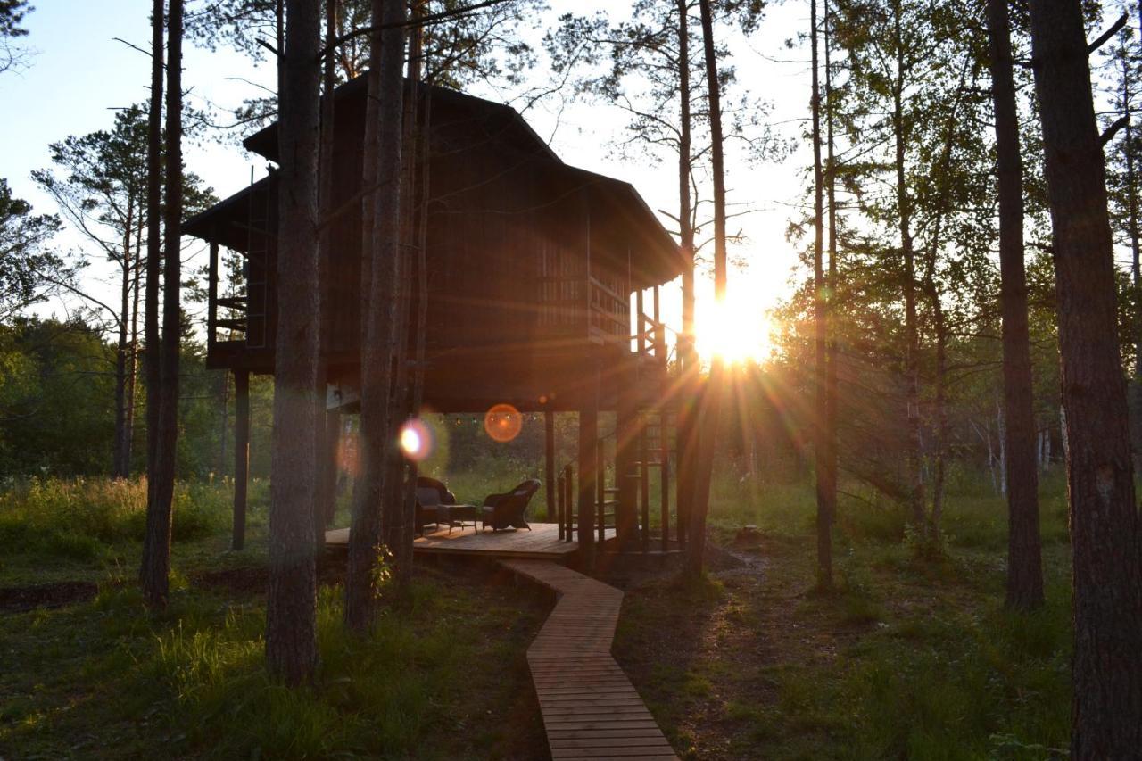 Вилла Sambliku Treehouse Jogisoo Экстерьер фото